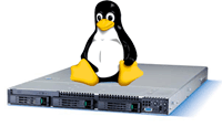 Linux Dedicated server India 